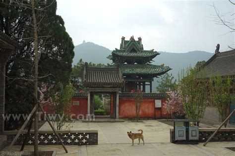   天龙山！壮麗な景色と神秘的な寺院が織りなす癒やしの空間！